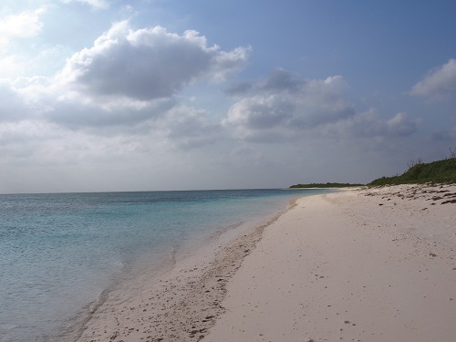 Berm and beach along Dongsha coastline / Mr. Liao 